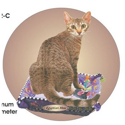 Egyptian Mau Cat Acrylic Coaster w/Felt Back