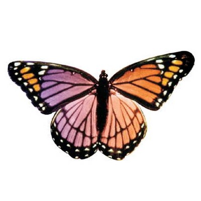 Purple & Pink Butterfly Magnet w/ Full Magnetic Back (10 Square Inch)