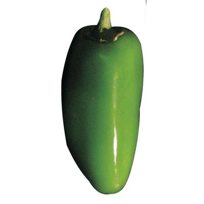 Jalapeno Maxi Magnet (2 Square Inch)