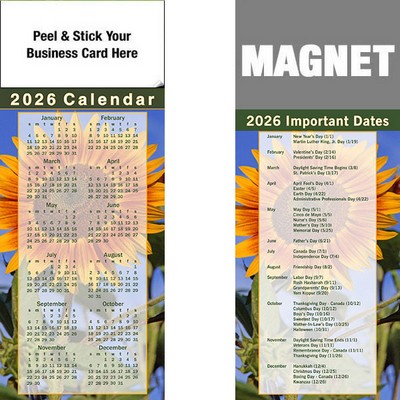 Peel & Stick Full Color Calendar Magnet (3 1/2"x8 1/2")