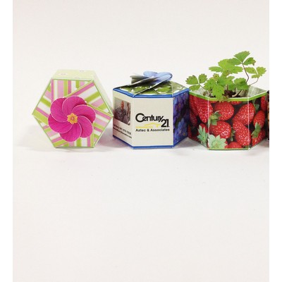SeedGems™ Paper Planter® Forget-Me-Not Biodegradable Grow Kit