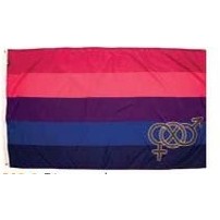 Bisexual Digital Nylon Pride Flag (3'x5')