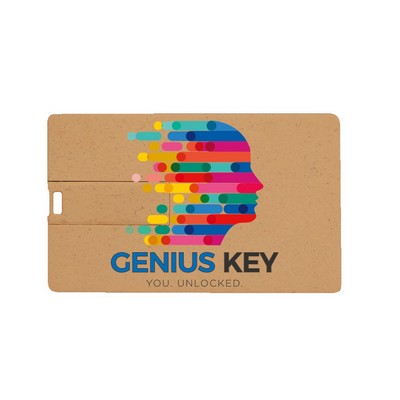 Broadview Eco-Friendly Card USB