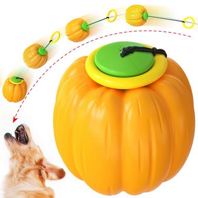 Pumpkin Hand Throwing Ball for Dog