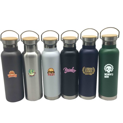 20oz Stainless Steel Insulated Bottle