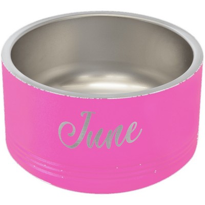 Polar Camel 18 oz. Small Pink Pet Bowl