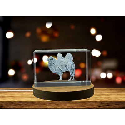 Bactrian Camel 3D Engraved Crystal Trophy Award w/LED Base Light