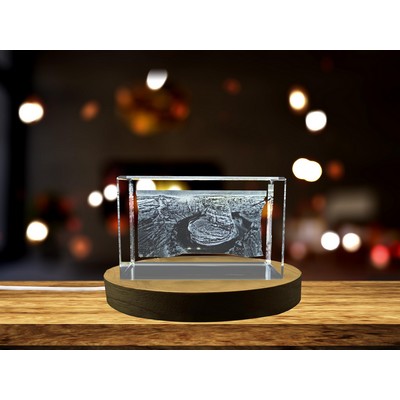 Horseshoe Bend 3D Engraved Crystal Trophy Award - Nature Landscape Art