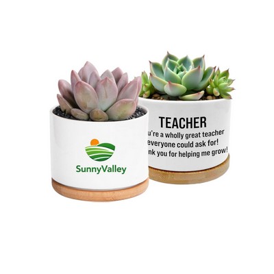 Mini Ceramic Flower Pot
