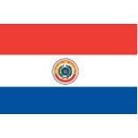 2'x3' Paraguay U.N. Nylon Outdoor Flag - Style C
