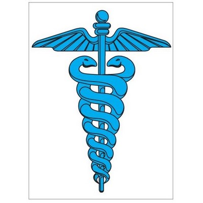 Caduceus Rectangle Badge w/ Bar Pin (2"x3")
