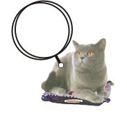 Chartreux Cat Keychain w/Mirrored Back (2 Square Inch)