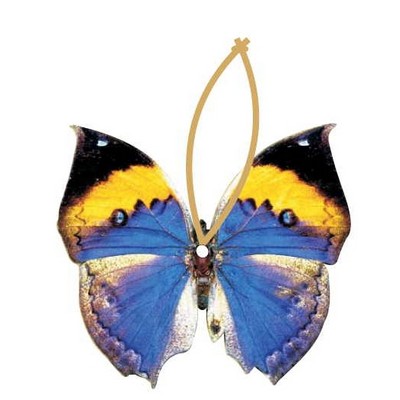 Black & Blue Butterfly Promotional Ornament w/ Black Back (10 Square Inch)