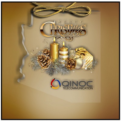 Arizona Ornament in Clear Acrylic