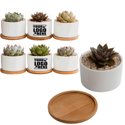 Mini Desktop Ceramic Pot with Eco-Friendly Bamboo Tray