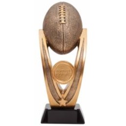 Small Fantasy Football Award