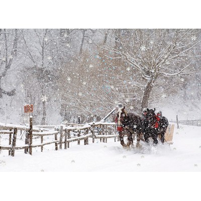 Snowy Sleigh Ride