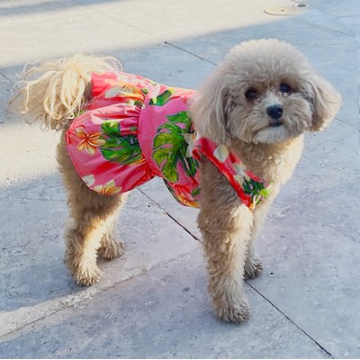 Dog Hawaiian Tropical Print Pink Cotton Dress