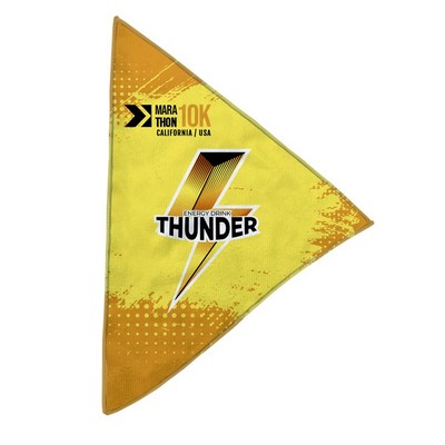 ProColor Triangular Rally Flags