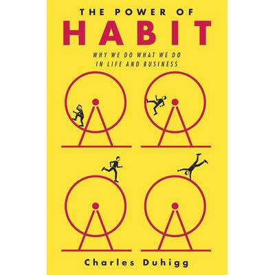 The Power of Habit (Why We Do What We Do in Life and Business) - 9781400069