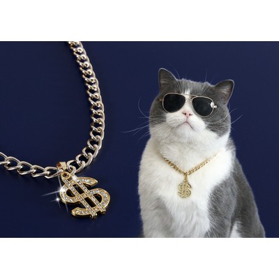 Pet Gold Dollar Pendant Chain Metal Necklace for Cats and Dogs
