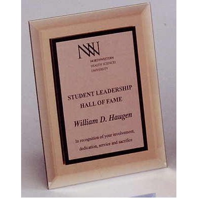 Vertical Copper-Gold Mirror Plaque (12"x15")