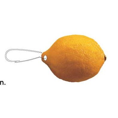 Lemon Zipper Pull