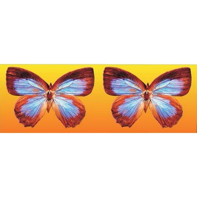Blue & Brown Butterfly Panoramic Metal Photo Magnet
