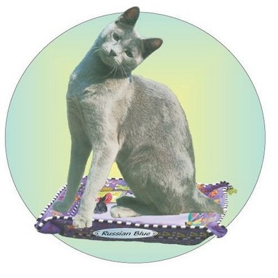 Russian Blue Cat Acrylic Coaster w/Felt Back