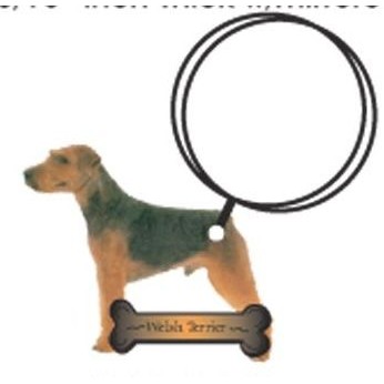 Welsh Terrier Keychain w/Mirrored Back (8 Square Inch)