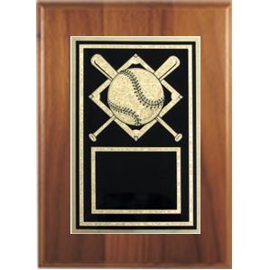Cherry Plaque 6" x 8" - With a "Baseball" 4" x 6" Activity Plate