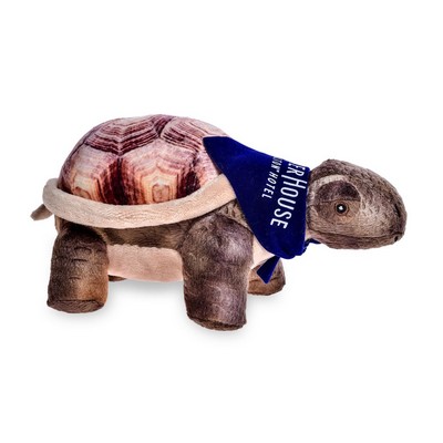 8" Imagination Series Desert Tortoise