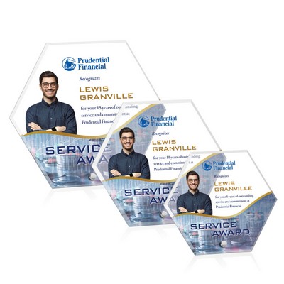 Polaris Hexagon VividPrint™ Award - Silver