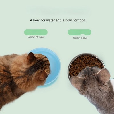 Pet Double Layer Stainless Steel Food Bowl