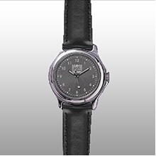 Tahoe Series Silver Colored Bezel Strap Watch