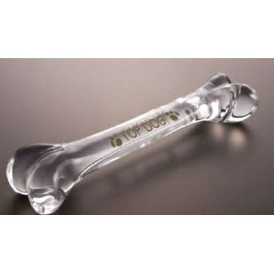 Acrylic 3-D Bone Replica Embedment Award