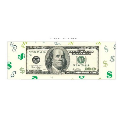 Hundred Dollar Bill Panoramic Metal Photo Magnet (1 5/8"x4 5/8")