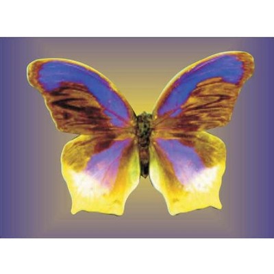 Purple & Yellow Butterfly Metal Photo Magnet (2 1/2"x3 1/2")