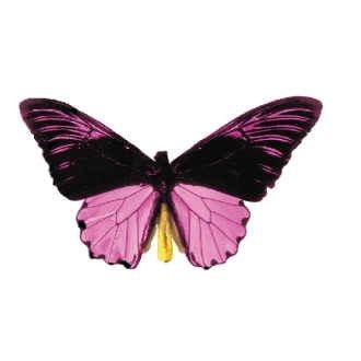 Black & Purple Butterfly Magnet w/ Full Magnetic Back (2 Square Inch)