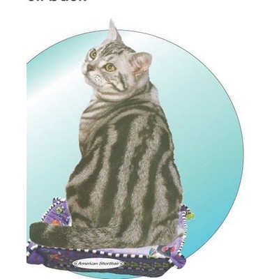 American Shorthair Cat Acrylic Coaster w/Felt Back
