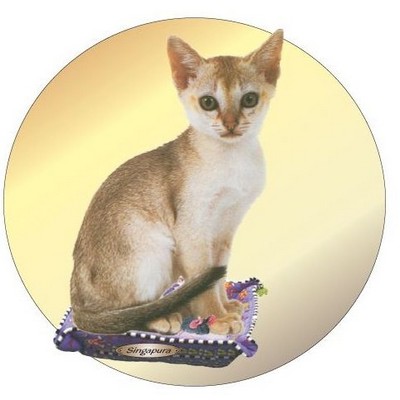 Singapura Cat Acrylic Coaster w/Felt Back