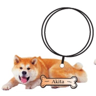 Akita Dog Executive Keychain w/Mirrored Back (10 Square Inch)
