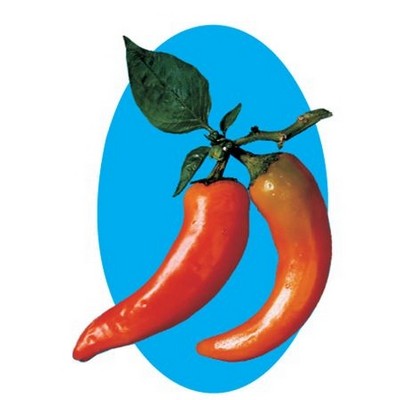 Chili Pepper Maxi Magnet (2 Square Inch)