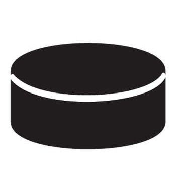 Hockey Puck Promotional Magnet w/ Strip Magnet (10 Square Inch)