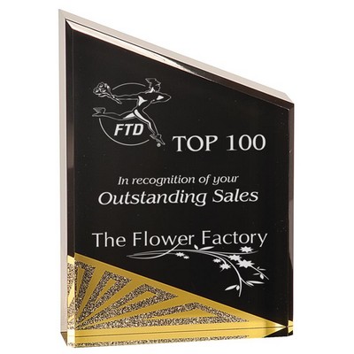 Black Diamond "Peak" - 4" x 6" x 1"