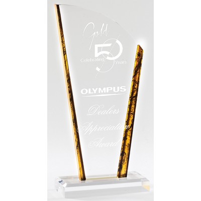 Acrylic Merit Award, 9 3/4"H