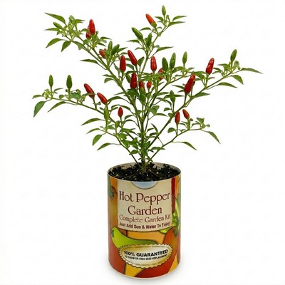 Hot Pepper Garden in Eco-Friendly Grocan