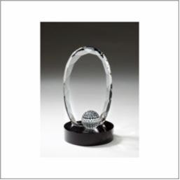 Leading Edge Golf Award