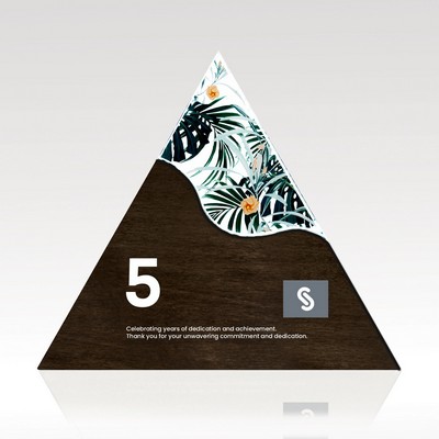 Triangle Acrylic & Wood Award - Large