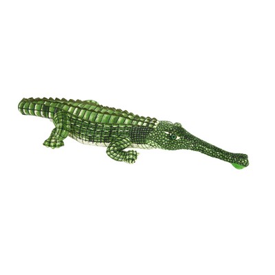 Green Long Nose Crocodile